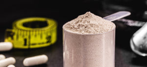 Mehrkomponenten Protein-Maniac-Sports.de-Supplements-Sportnahrung